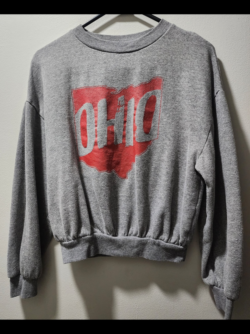 Fifth Sun Gray Crewneck Sweatshirt with Red Ohio Graphic